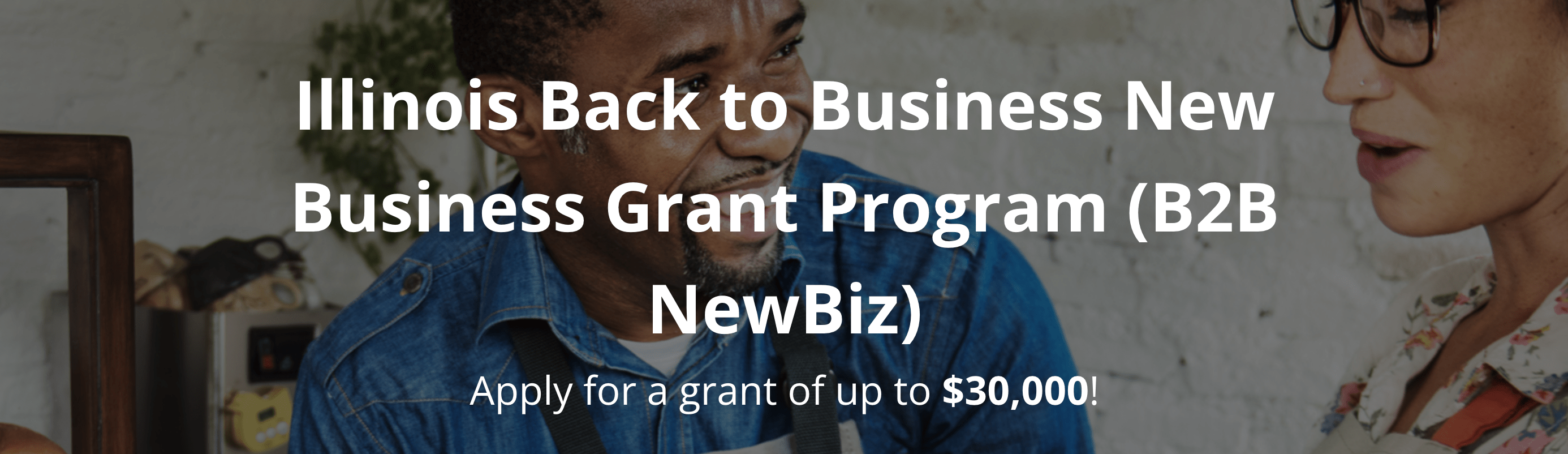 Illinois Back to Business New Business (B2B NewBiz) Grant